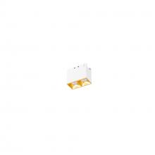 WAC R1GDL02-S935-GL - Multi Stealth Downlight Trimless 2 Cell